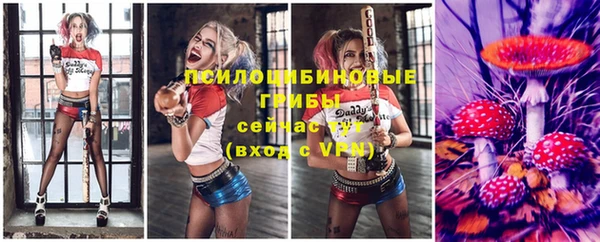 стаф Абдулино