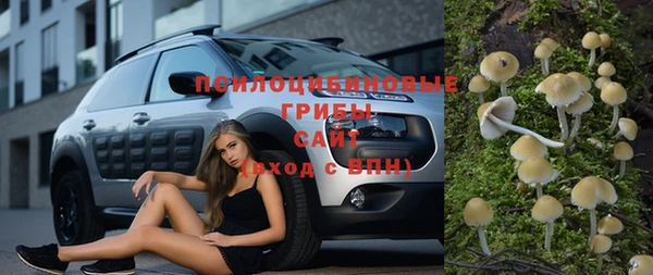 стаф Абдулино