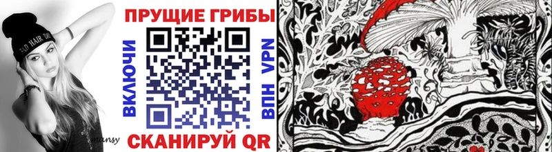 Псилоцибиновые грибы Psilocybine cubensis  где можно купить   Нахабино 